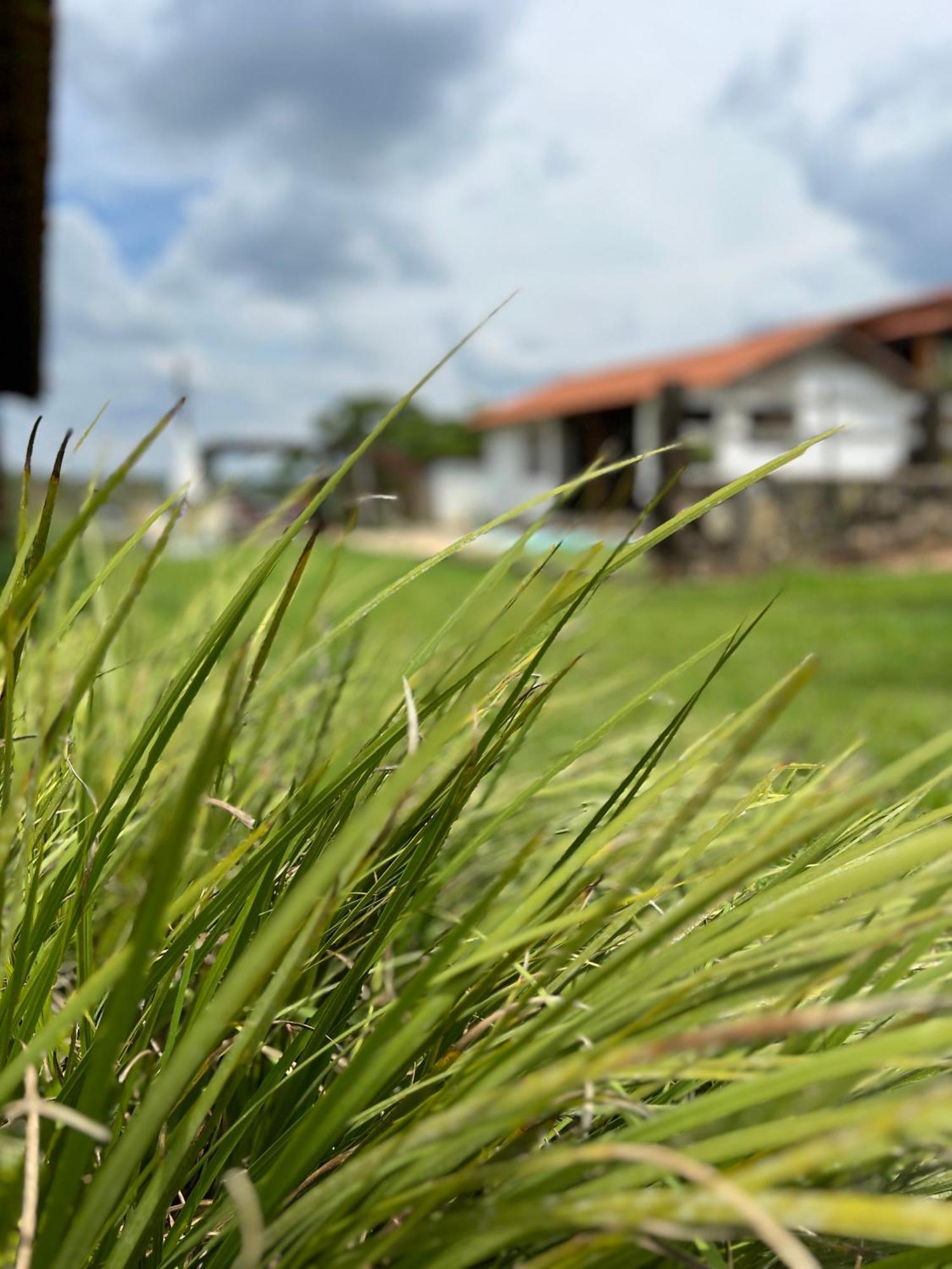 Отель Fazenda Do Engenho Santa Rita do Rio Abaixo Экстерьер фото