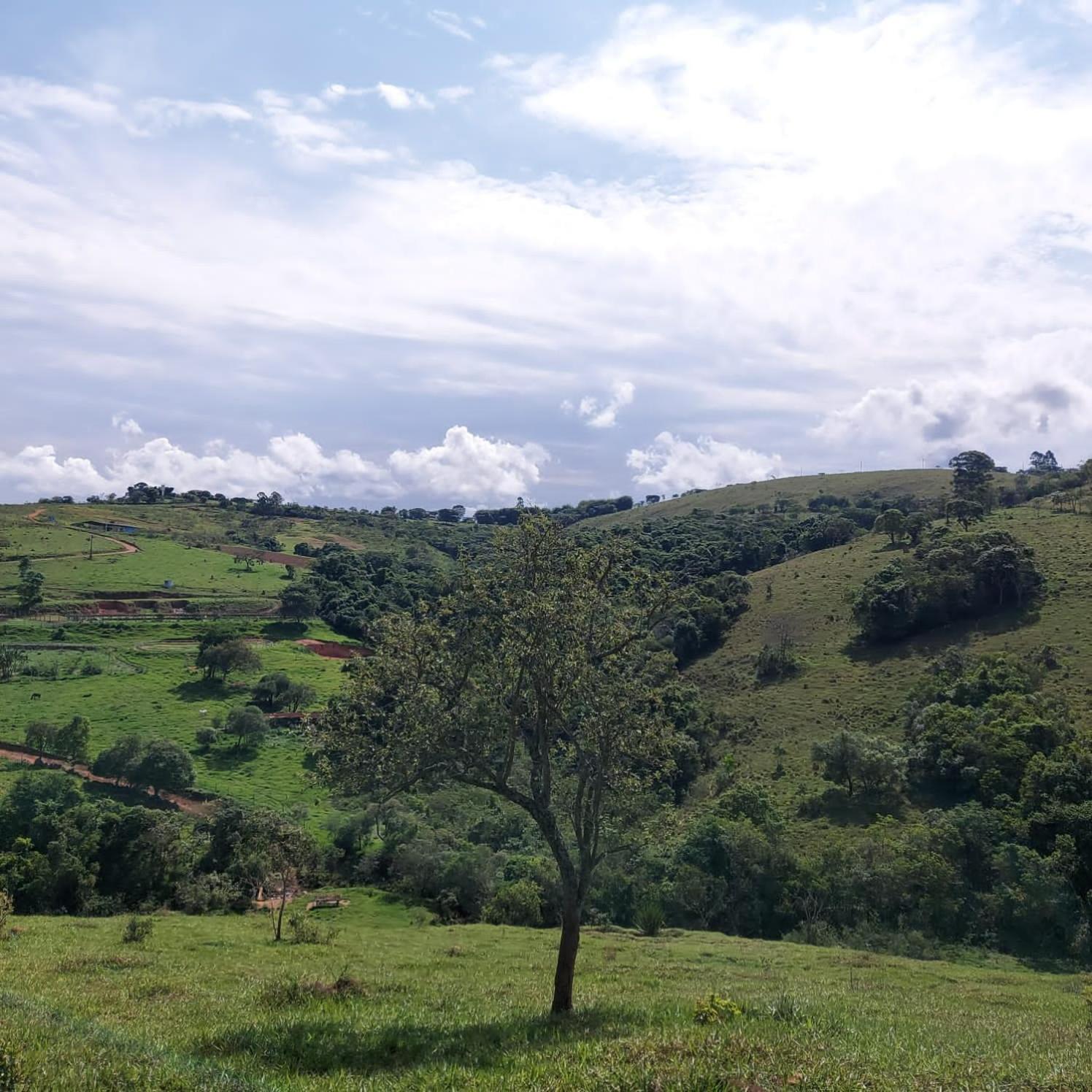 Отель Fazenda Do Engenho Santa Rita do Rio Abaixo Экстерьер фото