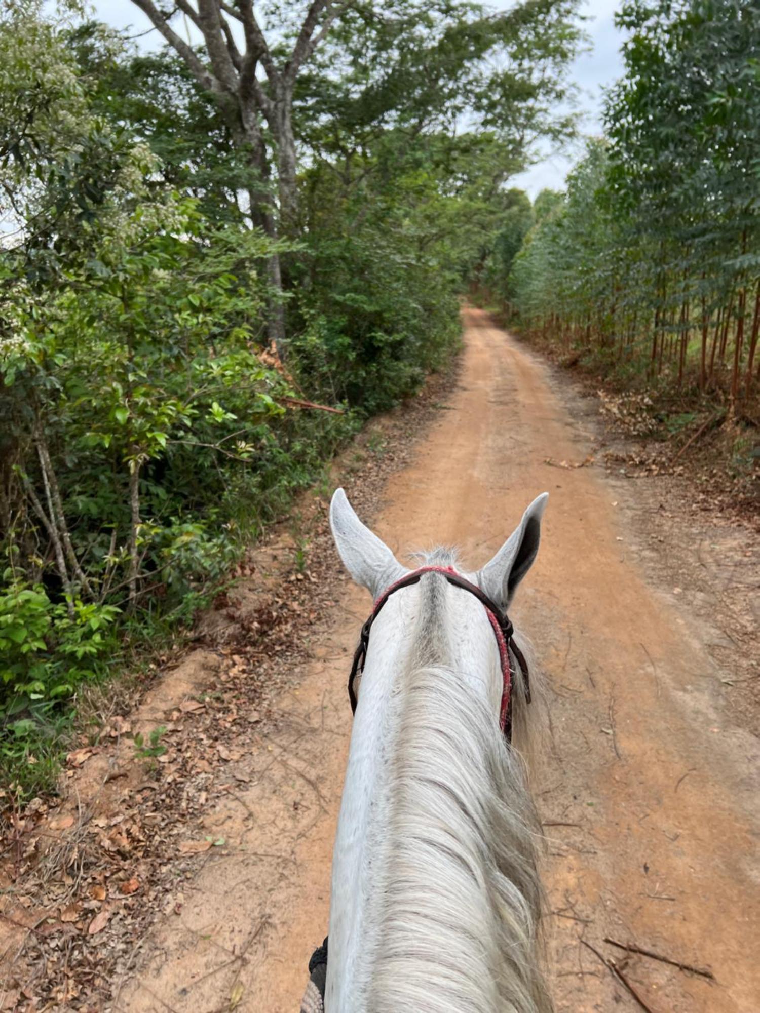 Отель Fazenda Do Engenho Santa Rita do Rio Abaixo Экстерьер фото