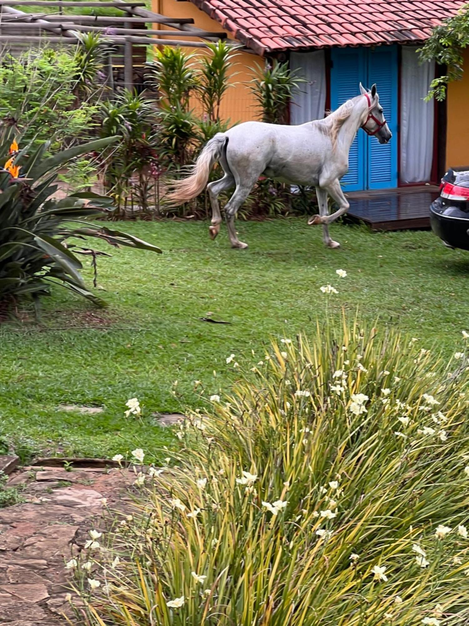 Отель Fazenda Do Engenho Santa Rita do Rio Abaixo Экстерьер фото