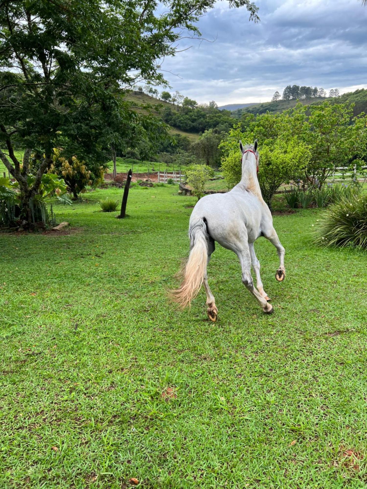Отель Fazenda Do Engenho Santa Rita do Rio Abaixo Экстерьер фото