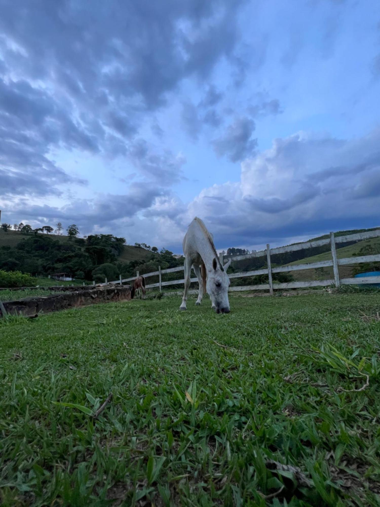 Отель Fazenda Do Engenho Santa Rita do Rio Abaixo Экстерьер фото